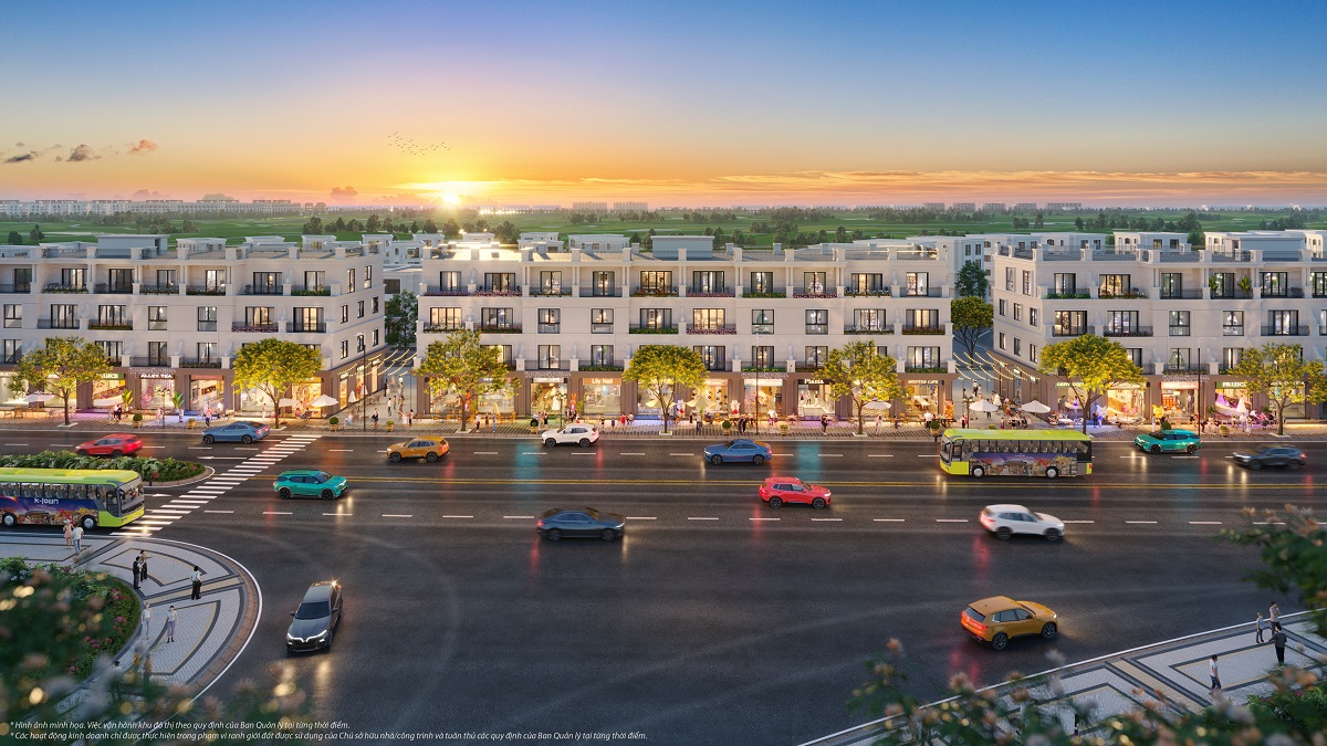 Shophouse/Liền kề/Biệt thự để ở TLA-736, Vinhomes Royal Island - ảnh 5